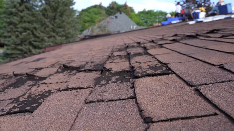 Best Roof Insulation Installation  in Prairie Ridge, WA